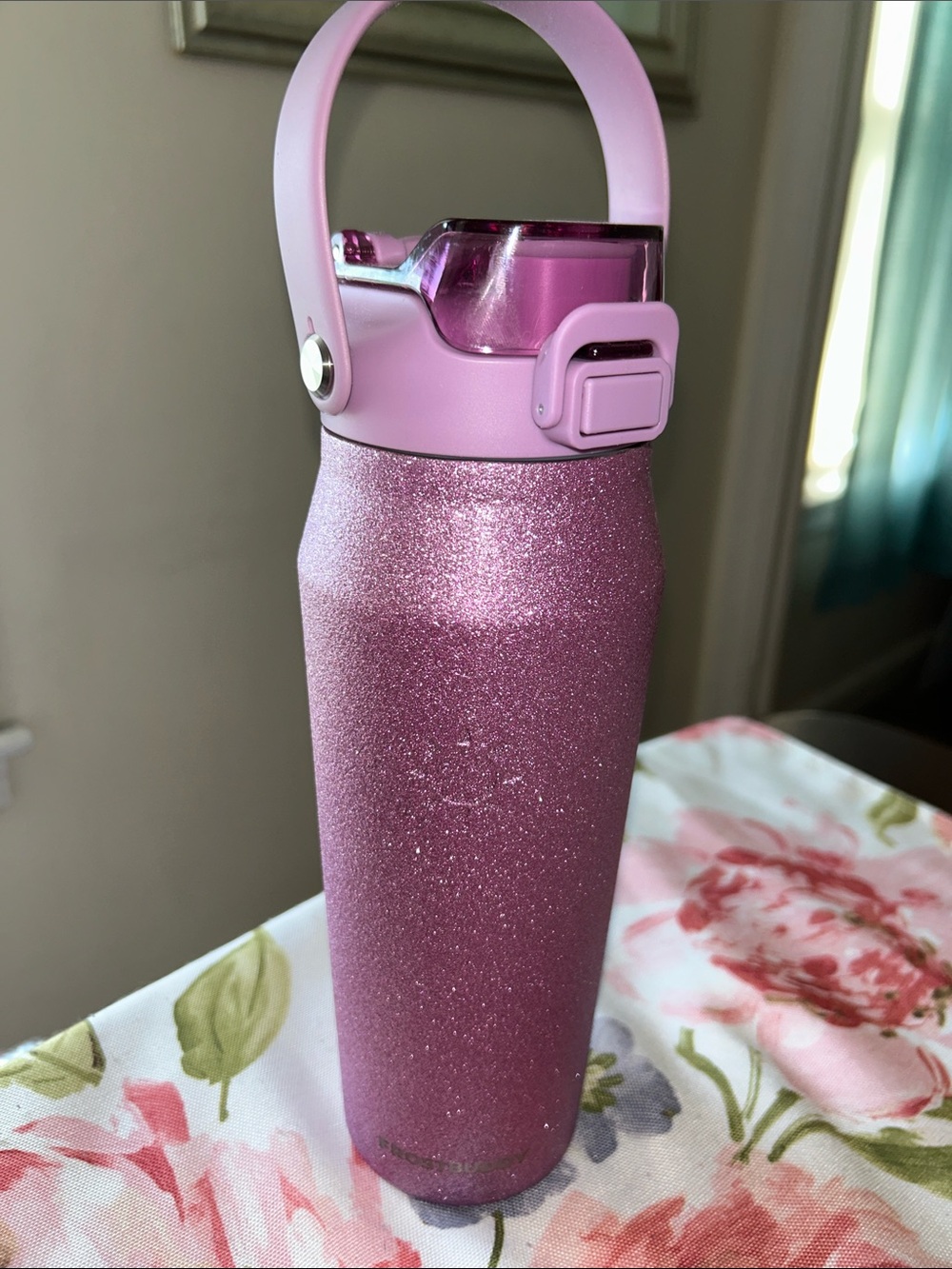 Frost Buddy, Insulated stainless steel flip top& handle Water Bottle